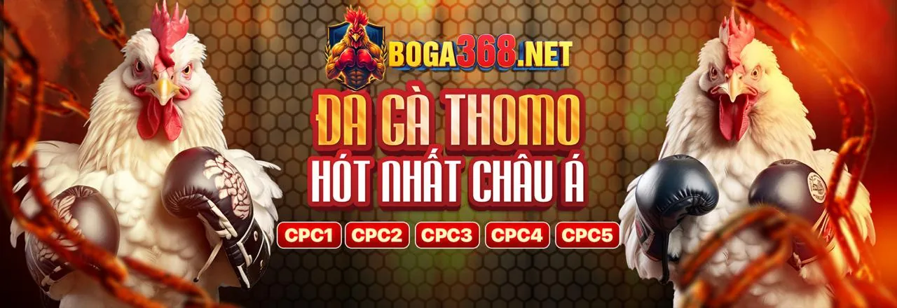 Tham gia 188vv nhà cái ngay hôm nay